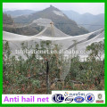 50gsm HDPE Leno Agriculture anti grêle net